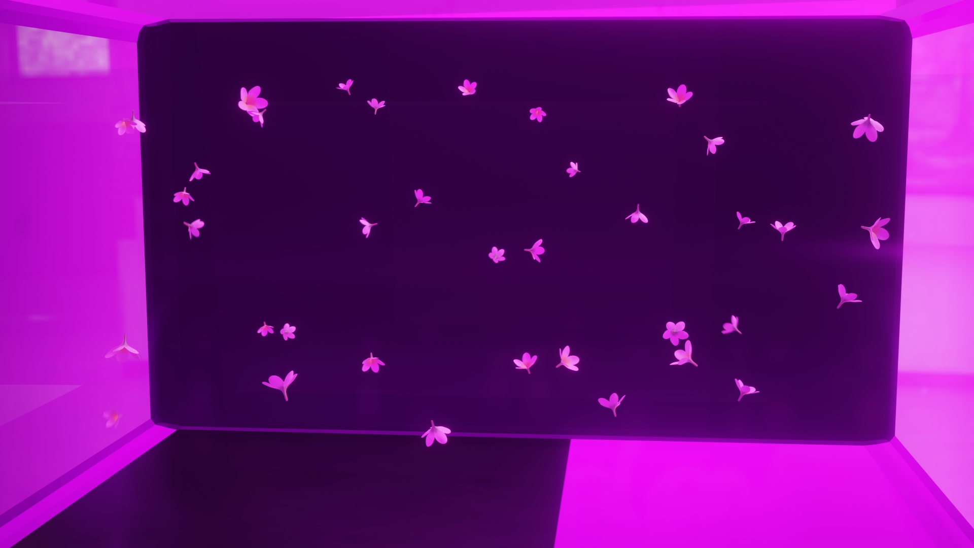 Image of flowers floating